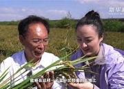 爱游戏平台充值-包含梅斯豪取全胜，喜获丰收与宝贵三分的词条