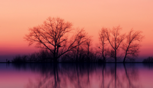 欧国联淘汰赛战况激烈，胜负难料