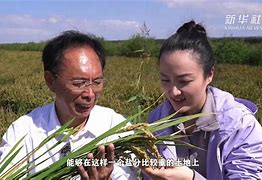 包含梅斯豪取全胜，喜获丰收与宝贵三分的词条