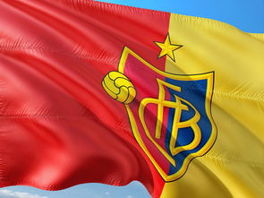 爱游戏体育-全国青少年足球超级联赛战况激烈,全国青少年少年足球联赛 第3张